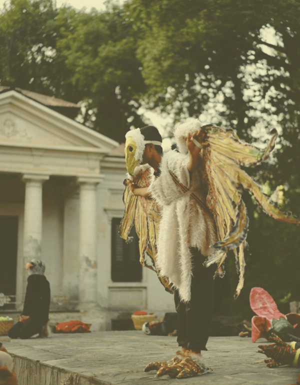 cyf-vulture-plain_compressed (1)